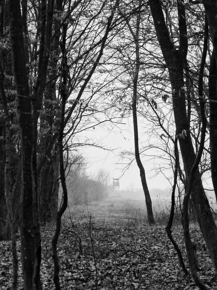 Photograph by Robert Suditu