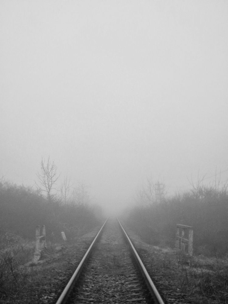 Photograph by Robert Suditu