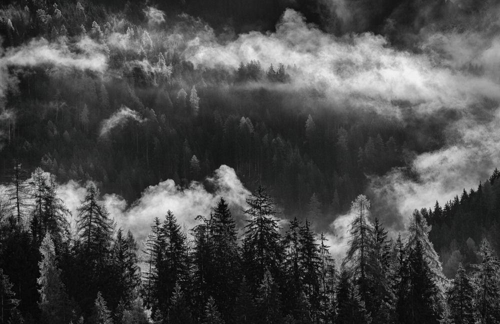 The Odle Alps (2024)