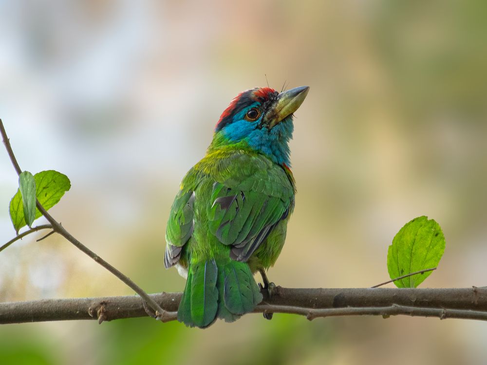 Photograph by Shadab Ishtiyak