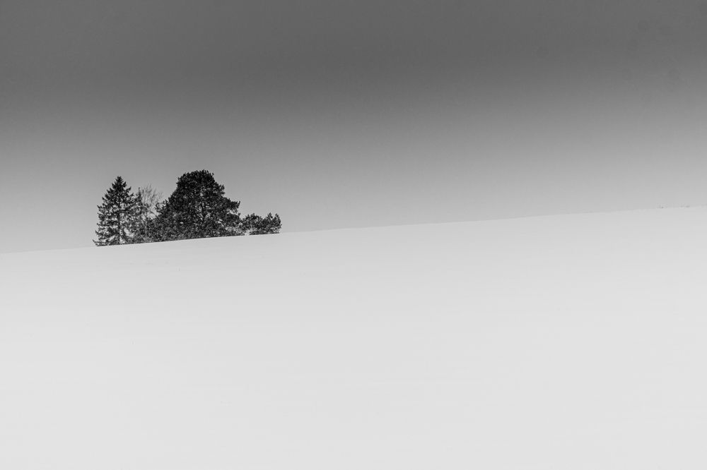 Photograph by Серёга Калабин