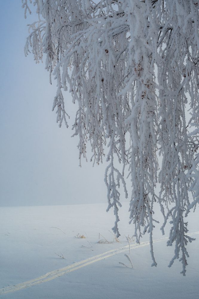 Photograph by Серёга Калабин
