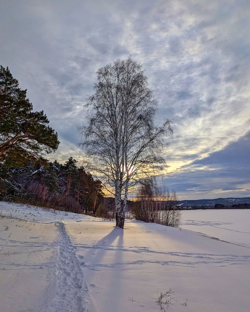 Блестя на солнце снег лежит
