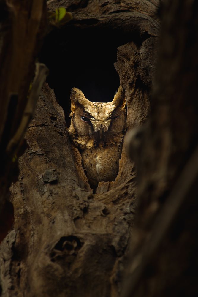 Photograph by Shadab Ishtiyak