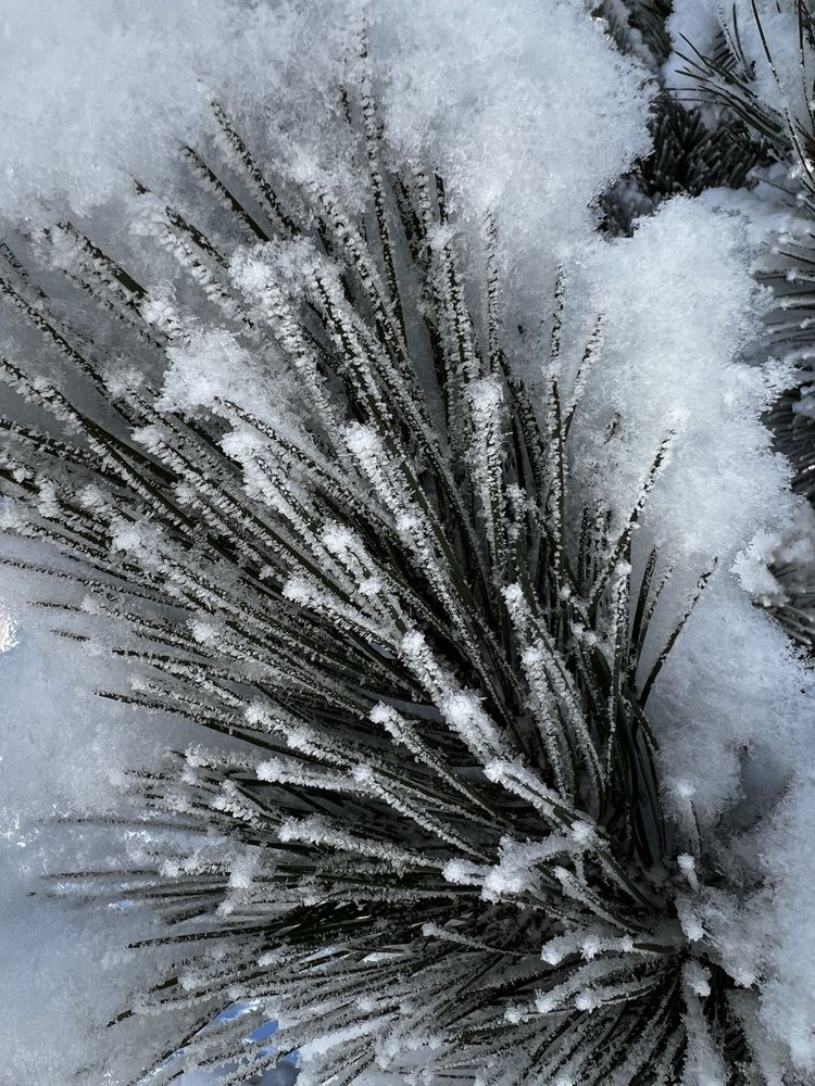 Photograph by Зарина