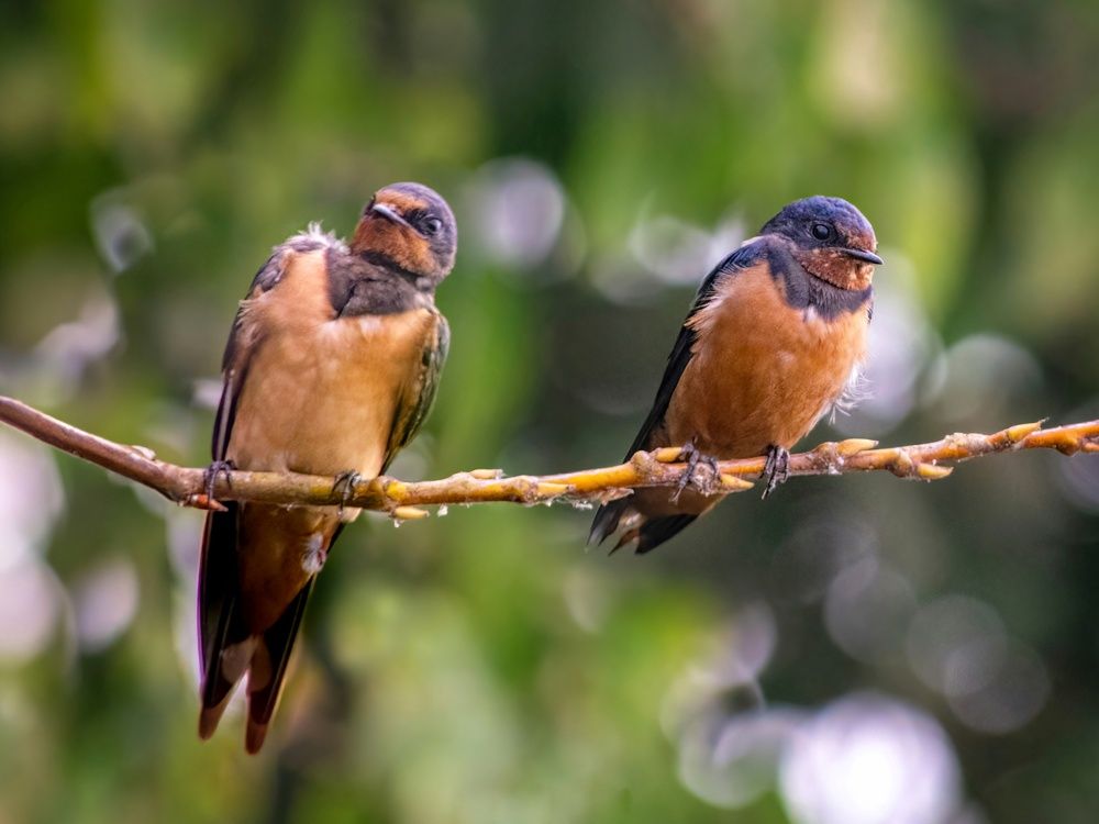 Photograph by Sabry Nael