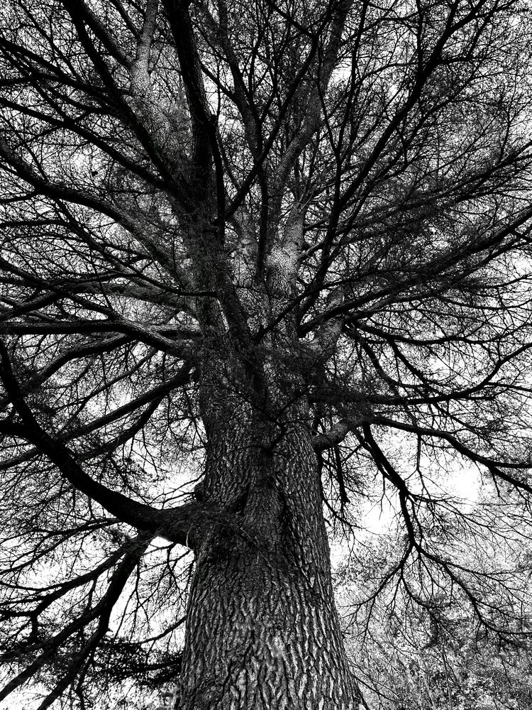 Photograph by Ksenia Sinitskaja