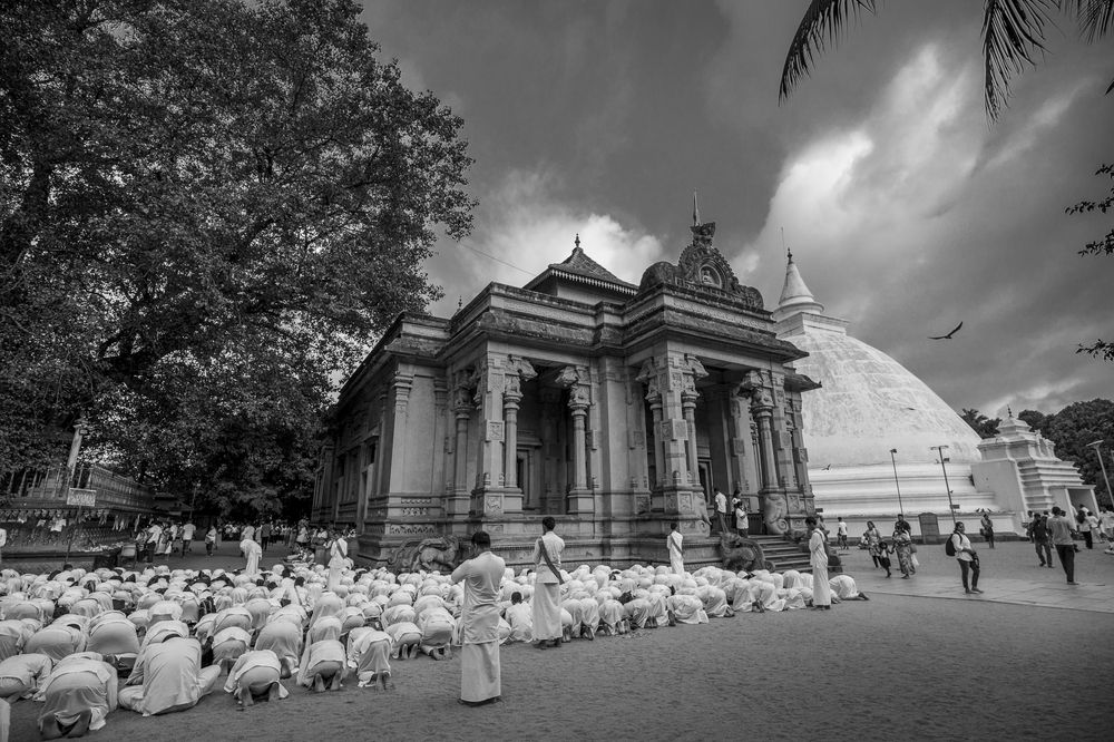 Photograph by Dimuthu Harshana Elwala