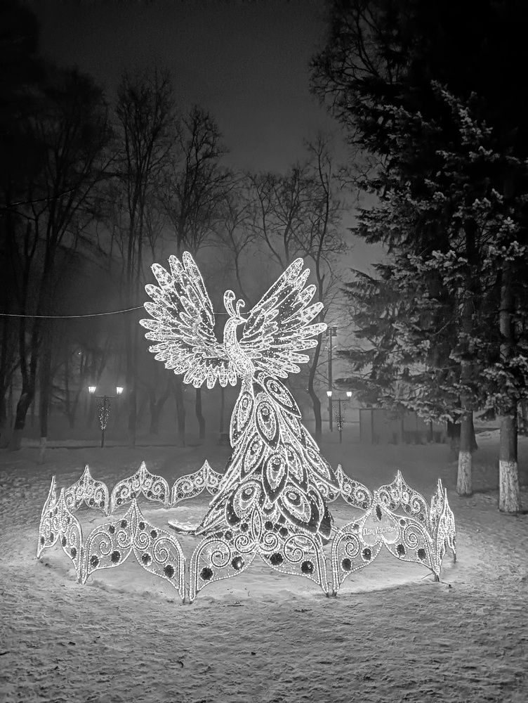 Photograph by Николь Николь