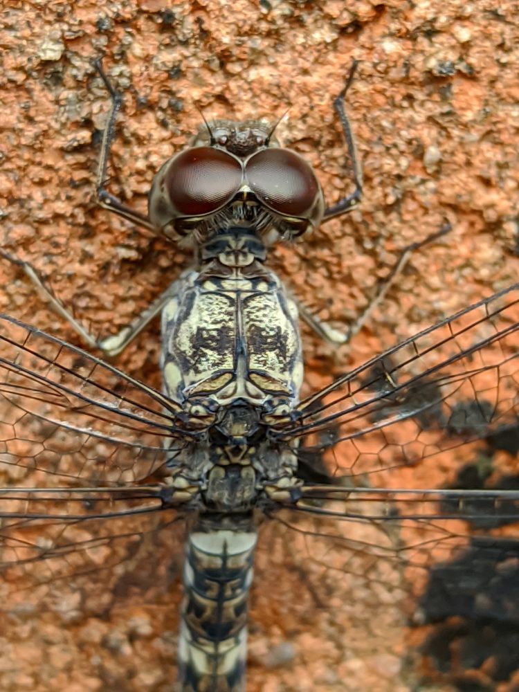 Photograph by Ameen Ahmed L