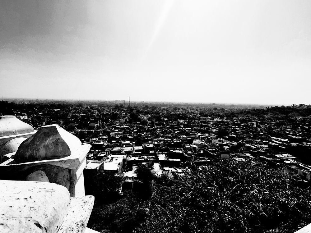 Photo #11874123