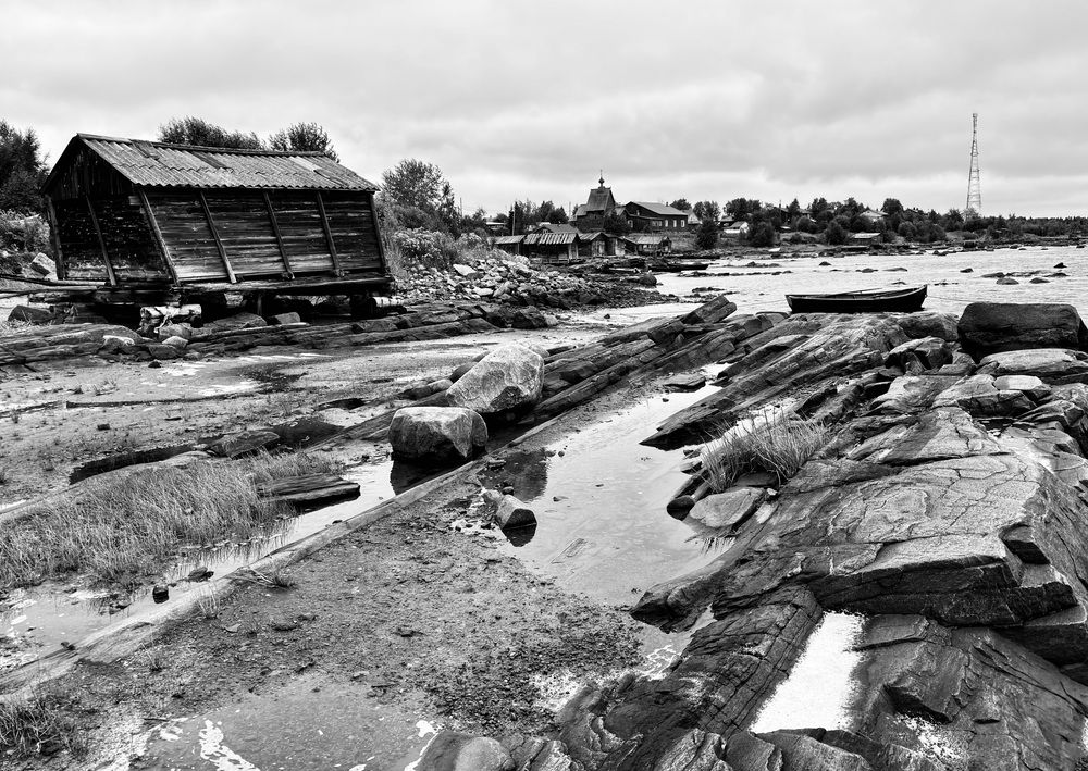 Photograph by Olga Mendosa