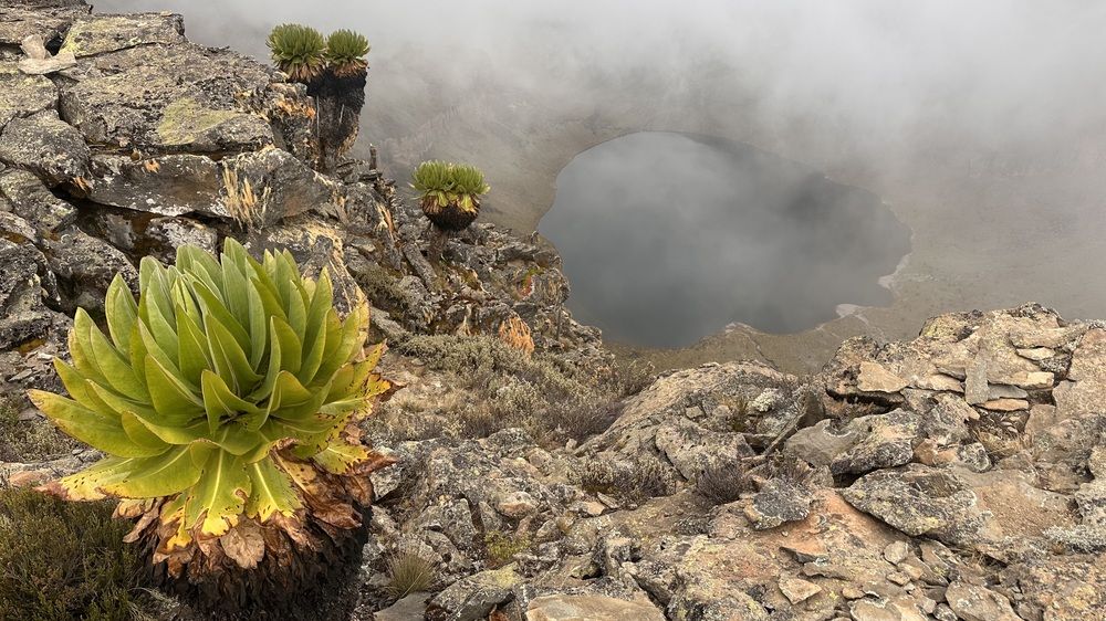 Фотография автора Dmitriy Sagurov