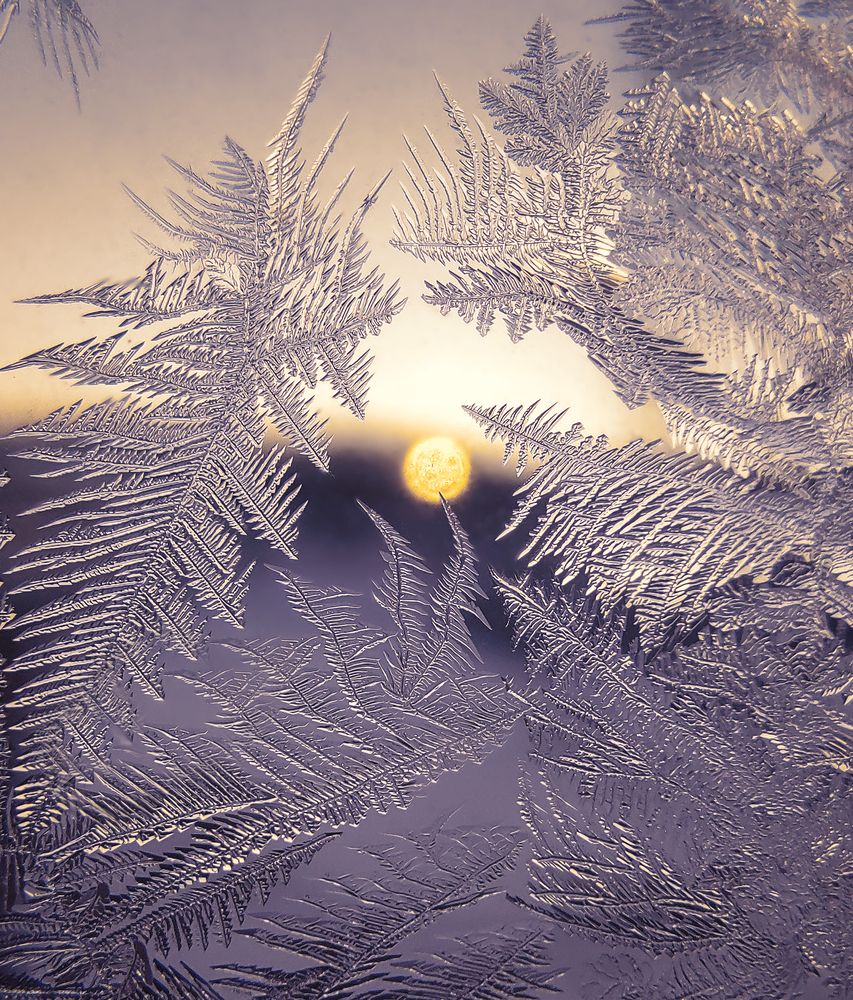 Photograph by Natalia Bolotenkova