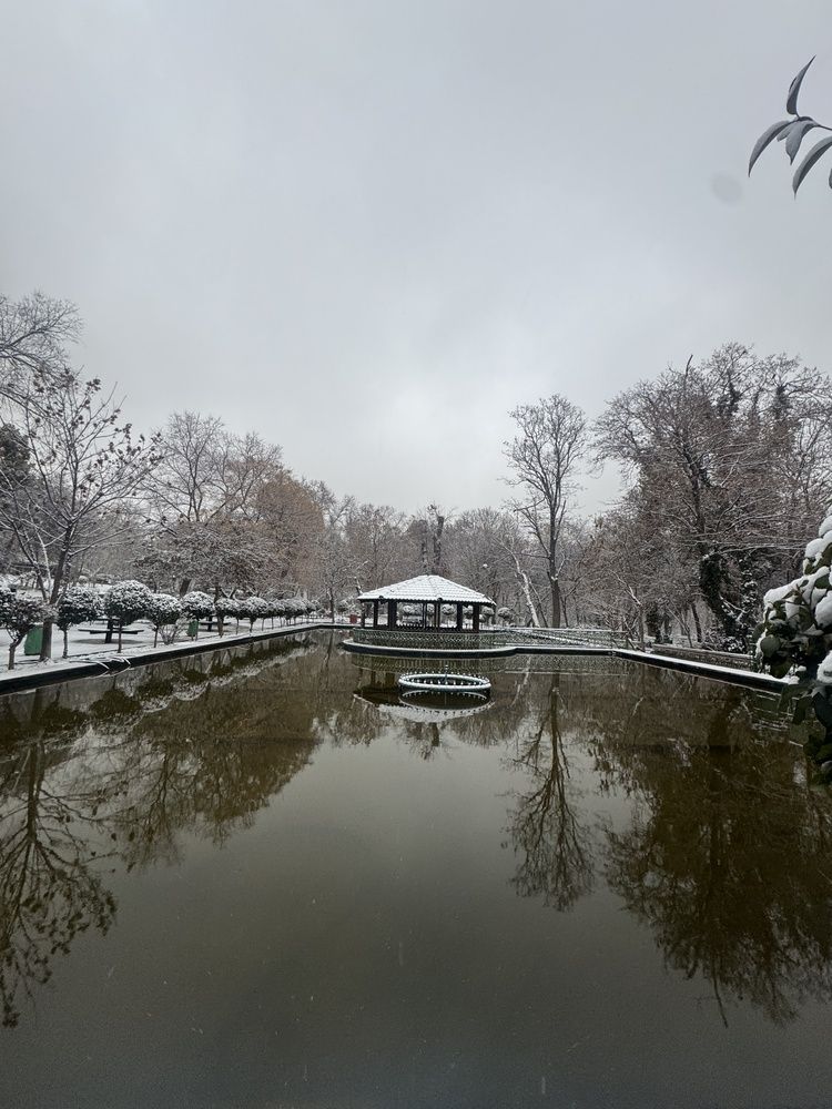 Photograph by Mahnaz Mohsenzadeh Kermani