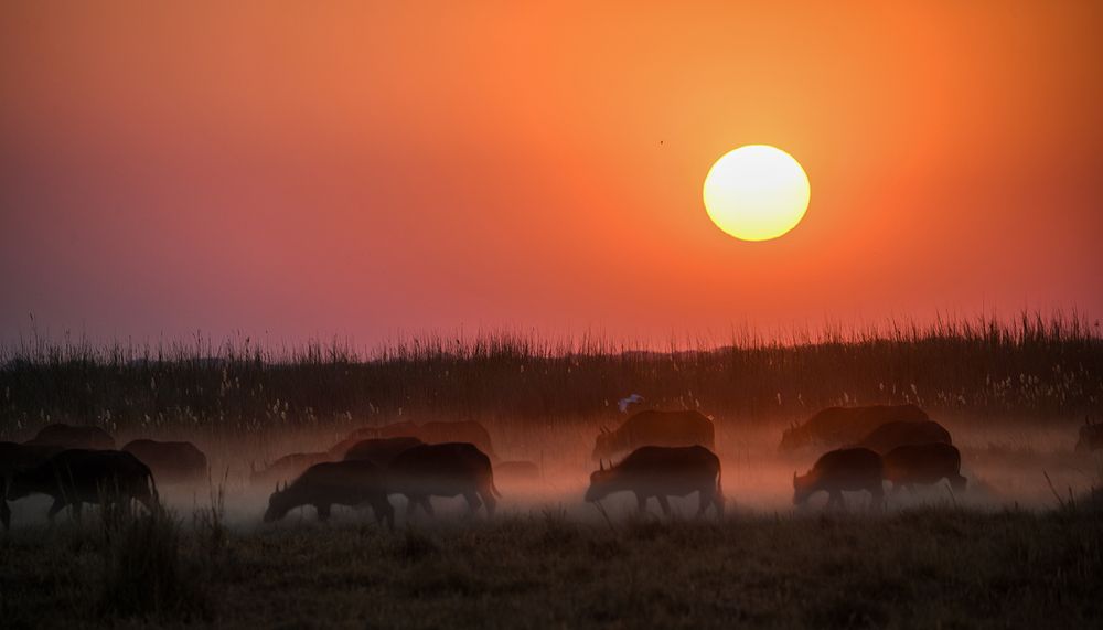 Photograph by Ricardo Ubico