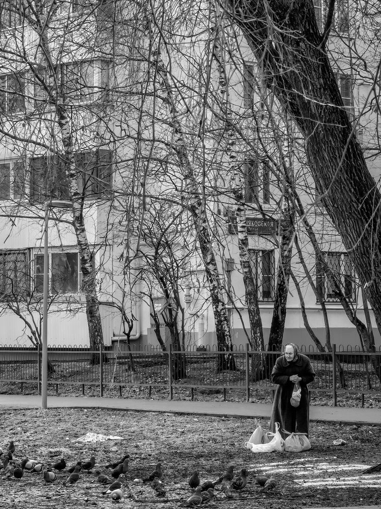 Photograph by Олеся Хижко