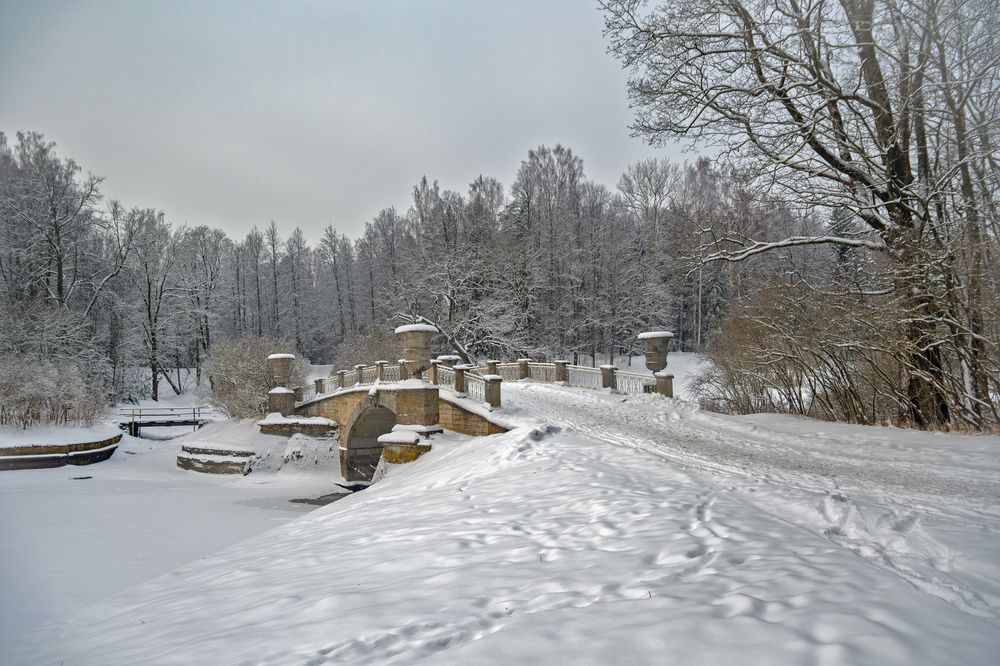 Photograph by Владимир Шутов