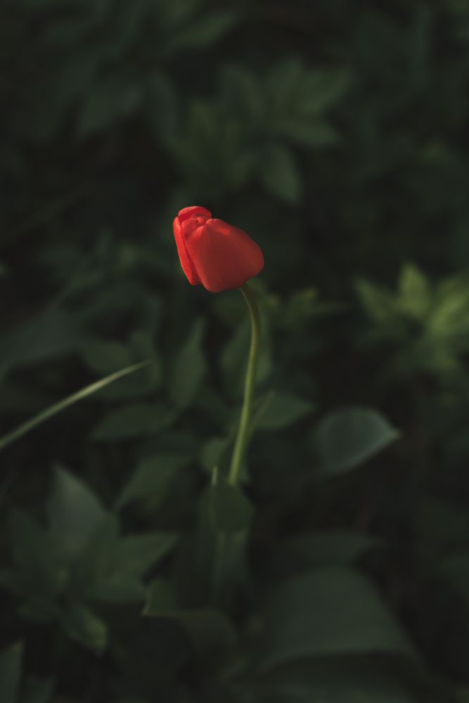 Photograph by Валентина Козлова
