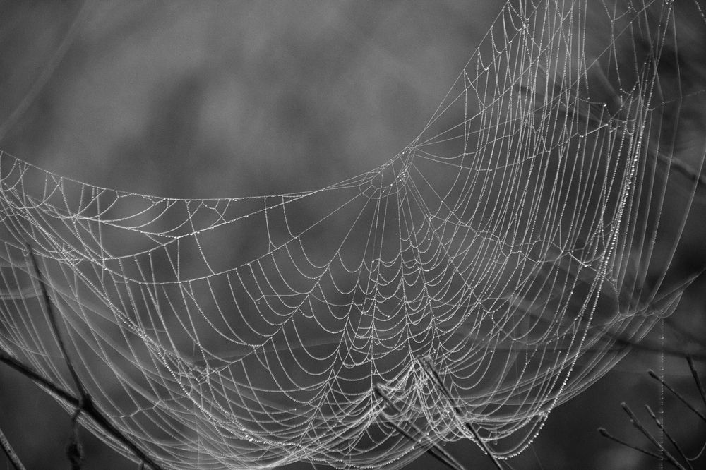 Фотография автора Александр Крапачев