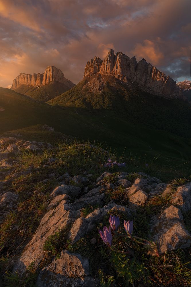 Photograph by Александр Дударев