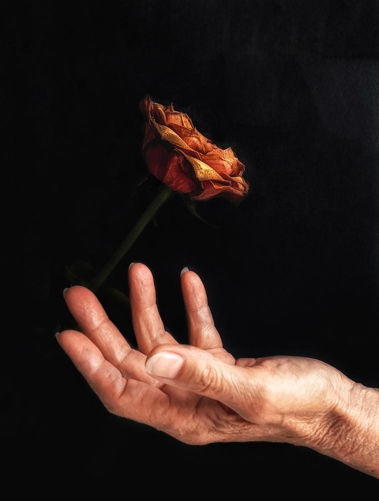 Photograph by Anya Lo