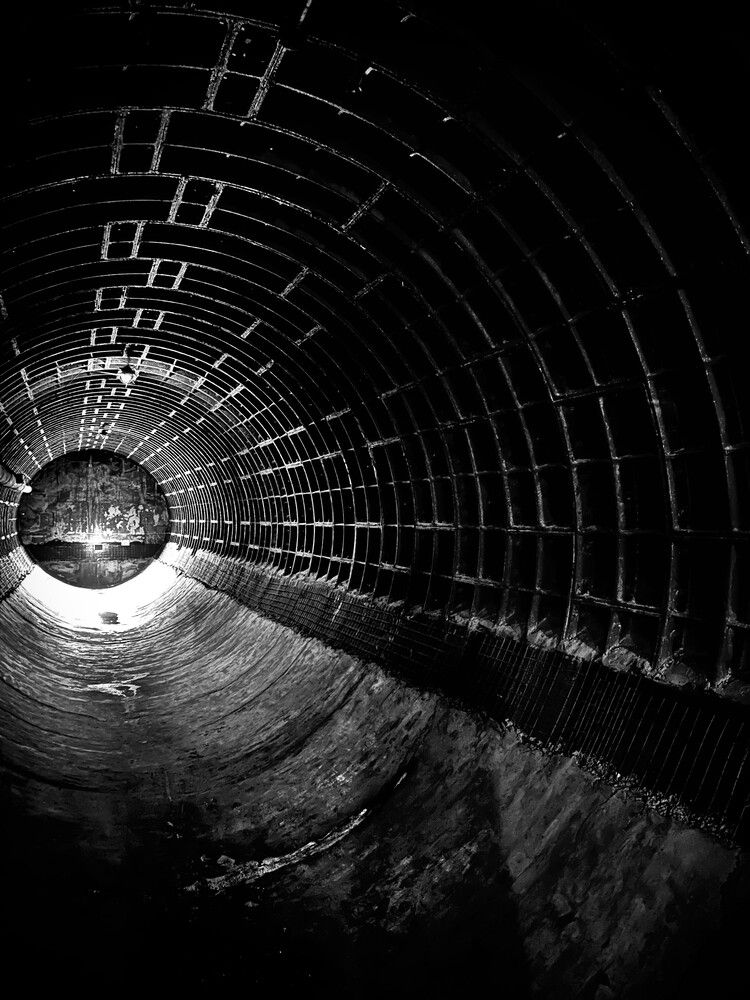 Photograph by Alex Rionir