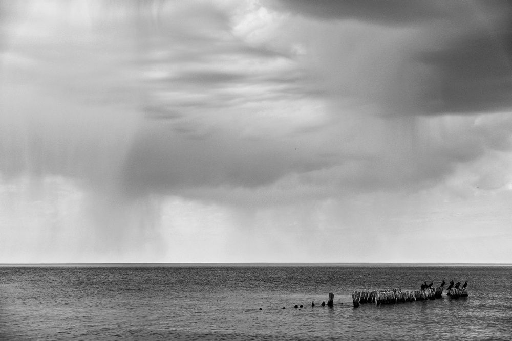 Photograph by Владимир Леликов-Кузьменко