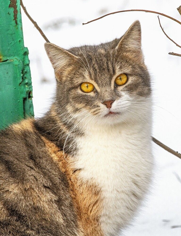 Photograph by Сиваков Алексей