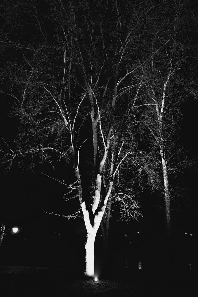 Photograph by Nikolay Serfoord