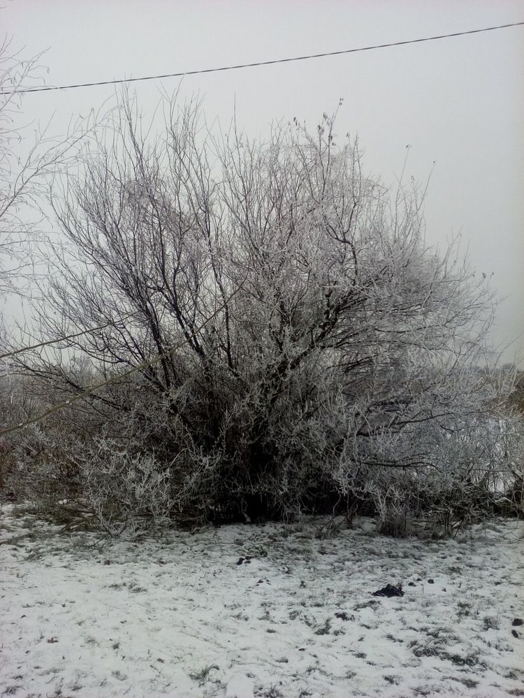 Photograph by Erika Osipova