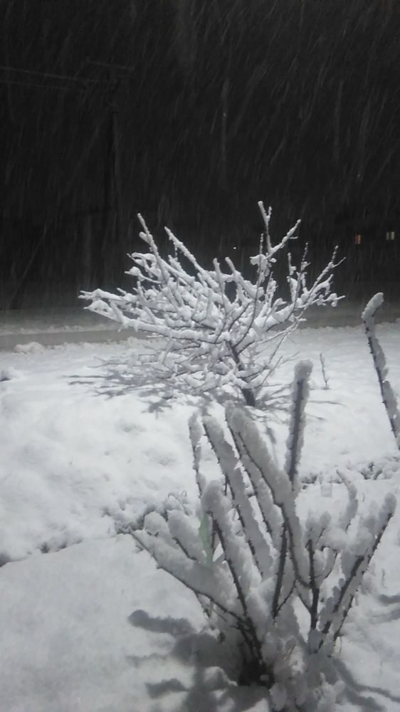 Photograph by Erika Osipova