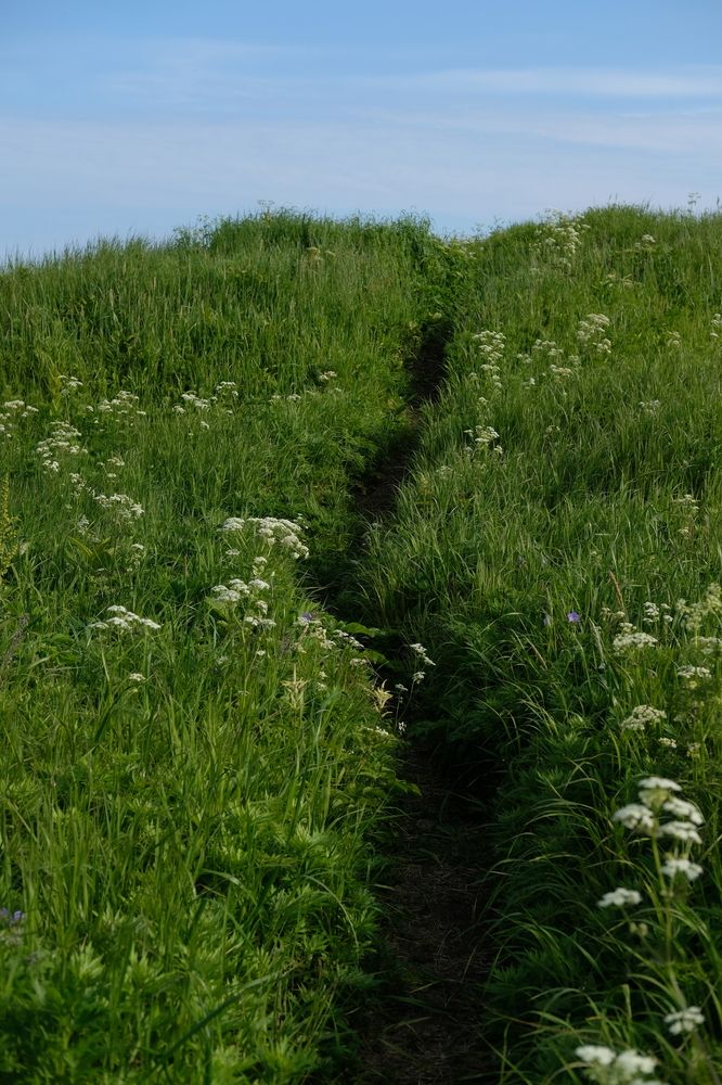 Photograph by Никита