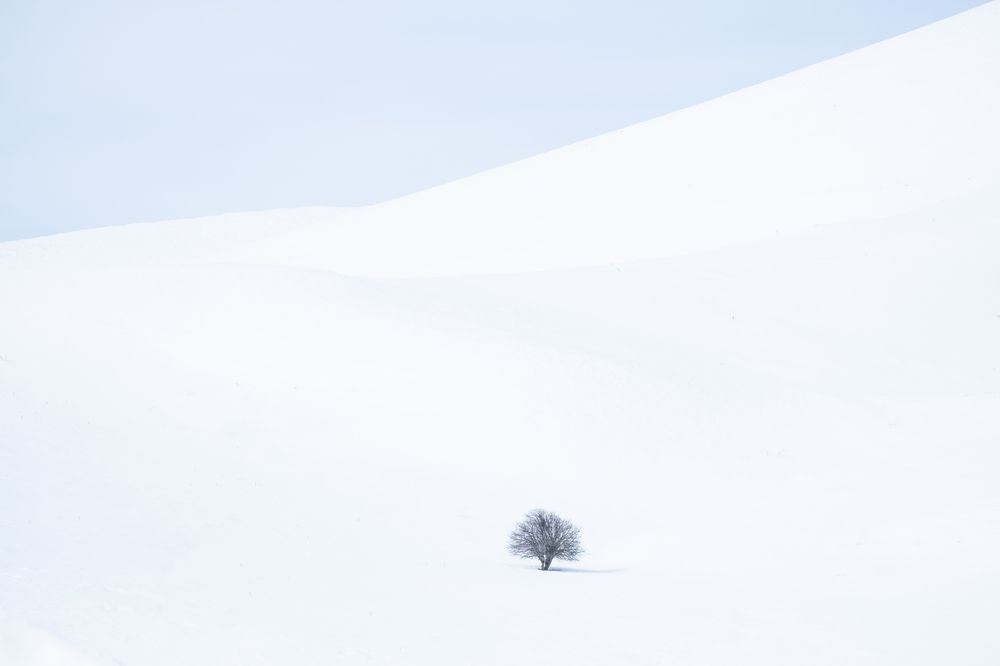 Photograph by Feyza Umaysiz