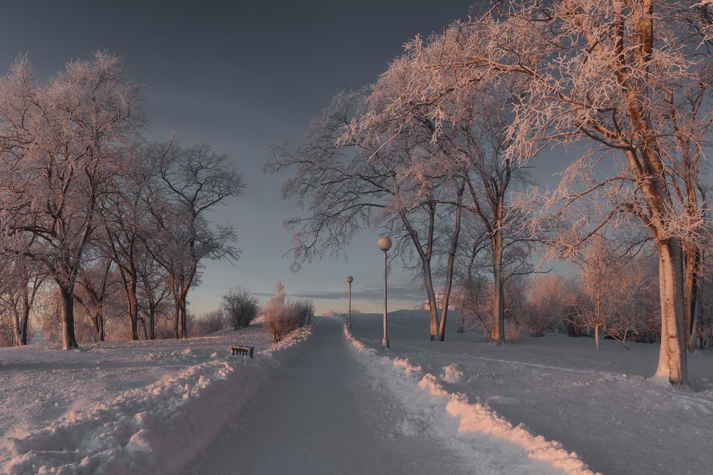 Деревья в инее, морозно...