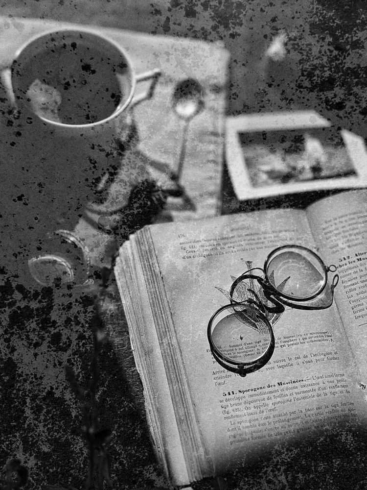 Photograph by Анастасия Куэлляр