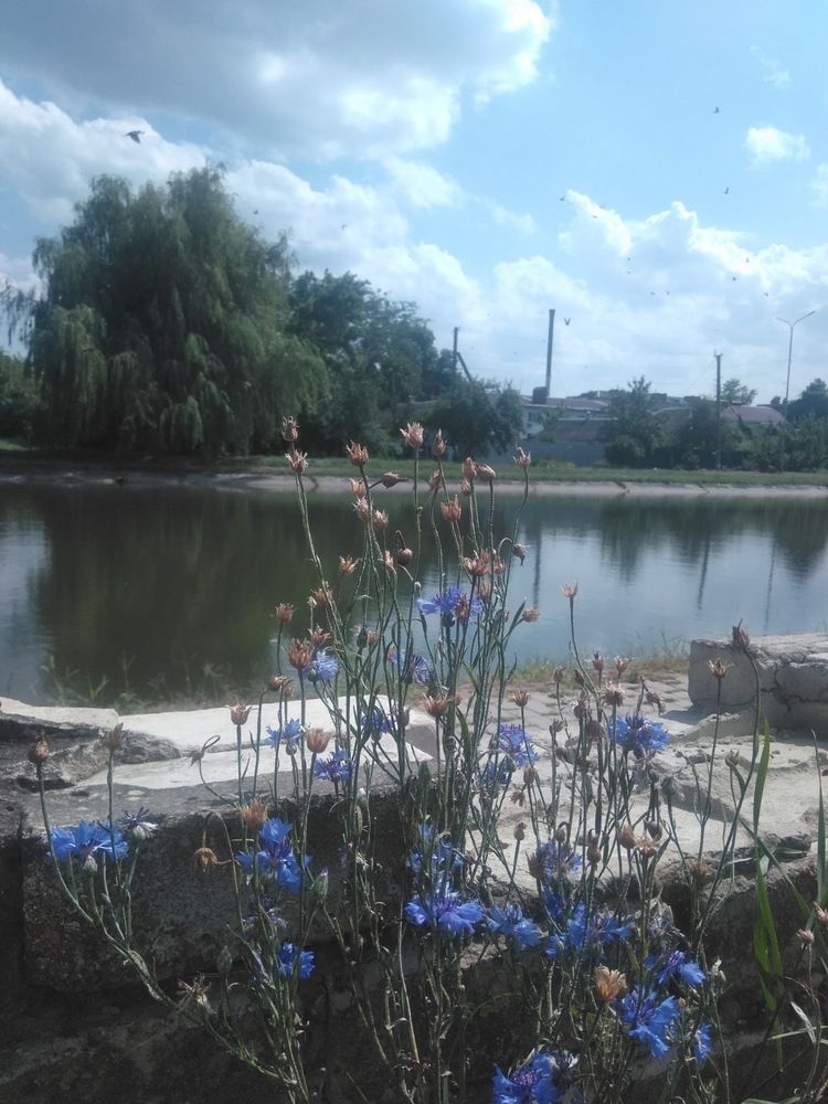 Photograph by Erika Osipova