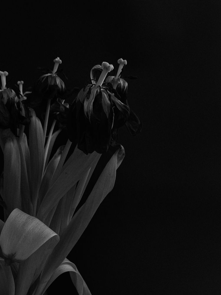 Photograph by Оксана Михайлова