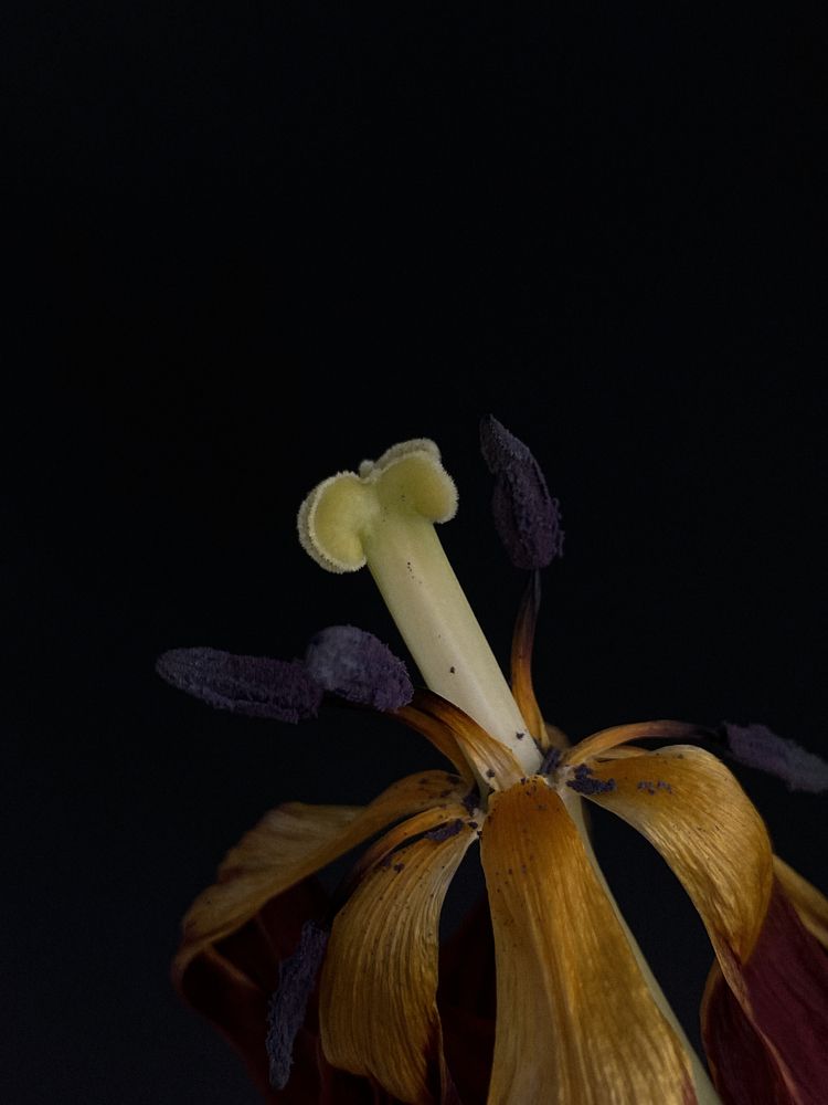 Photograph by Оксана Михайлова