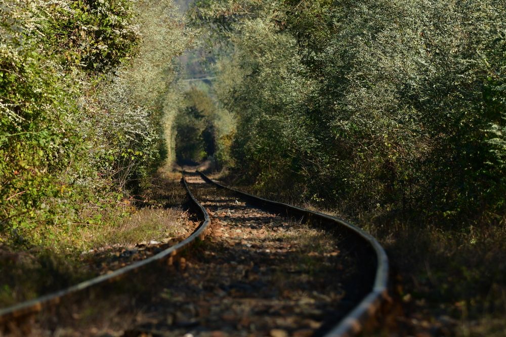 Photograph by Ciornei Simona Maria