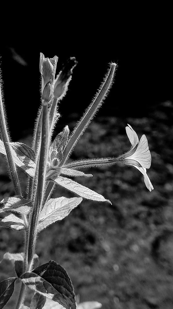 Photograph by Александр