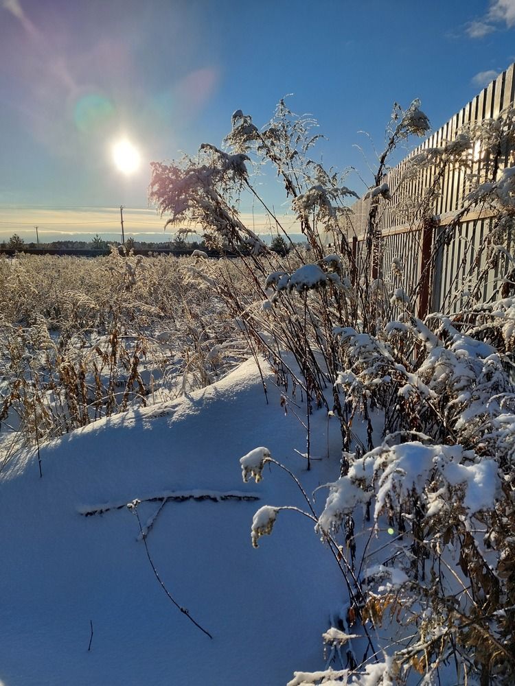 Фотография автора Сергей Ник