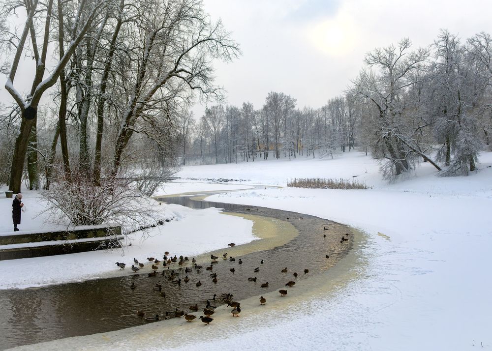 Photograph by Владимир Шутов