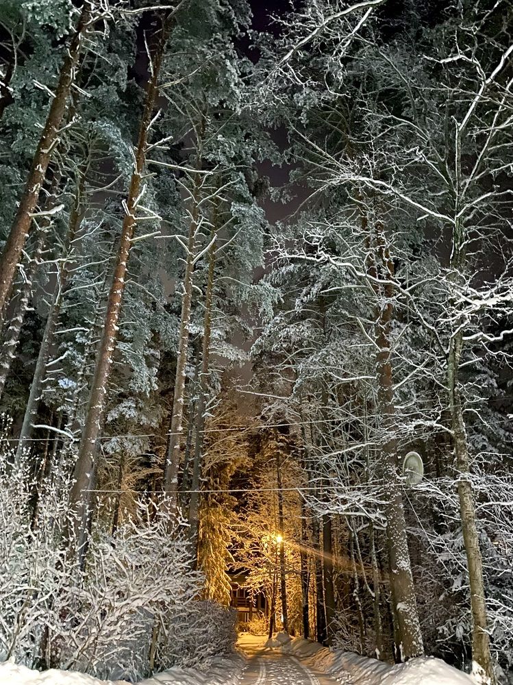 Photograph by Светлана Коган