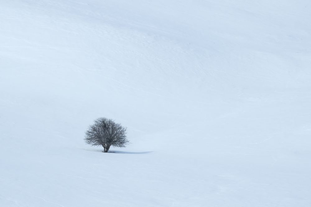 Photograph by Feyza Umaysiz