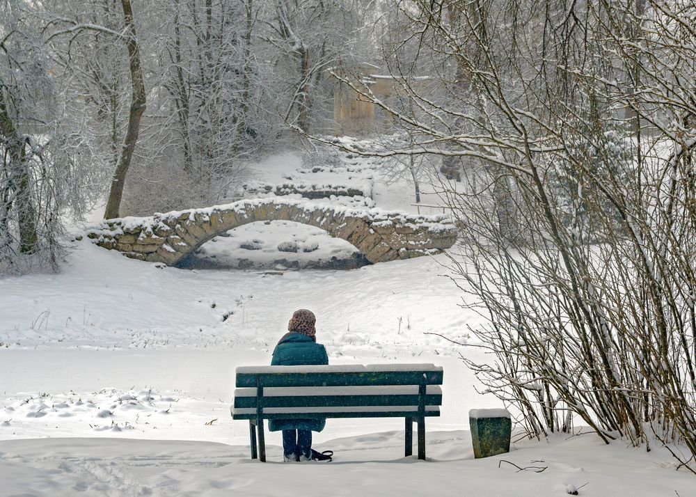Photograph by Владимир Шутов