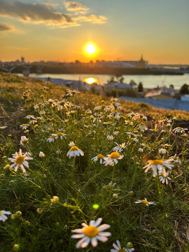 Photograph by Юлия Горчакова