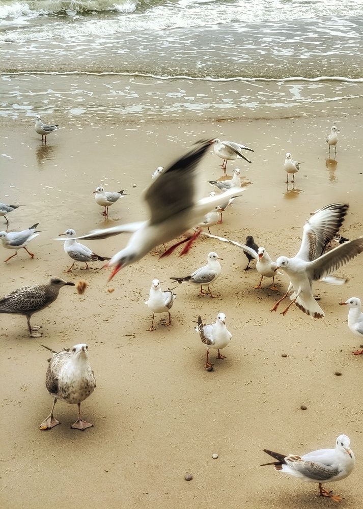 Кто успел тот и съел