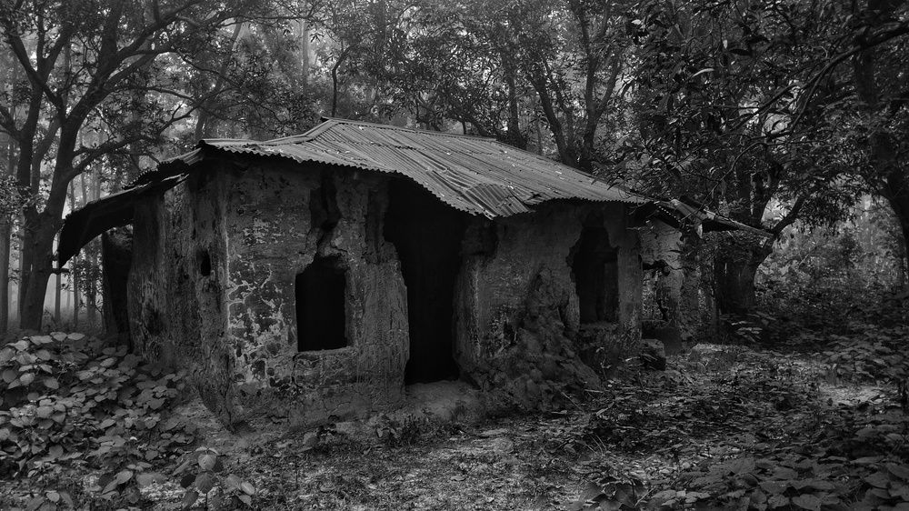The Cabin in the Woods