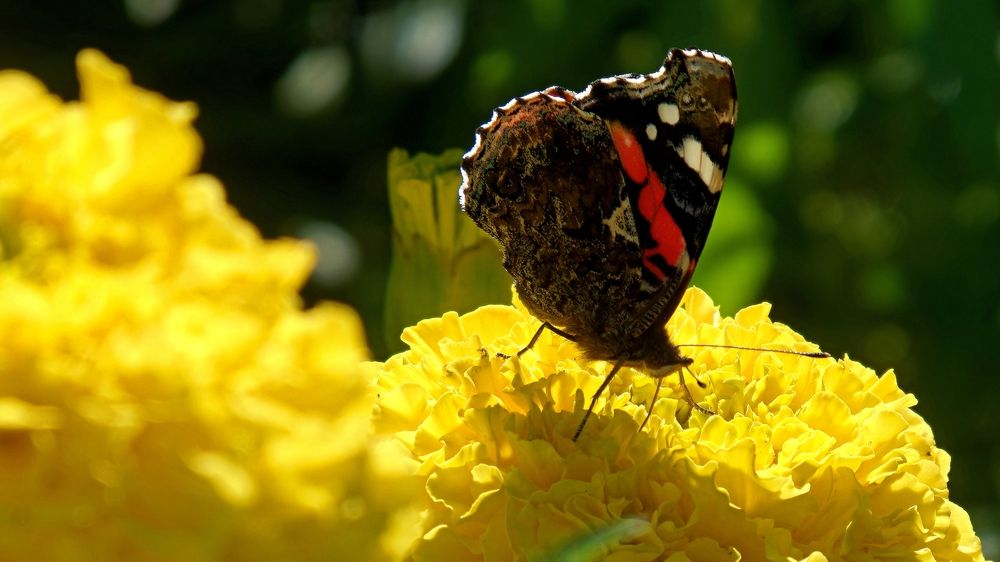 Photograph by Вячеслав